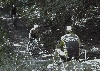 Downhill Demon
